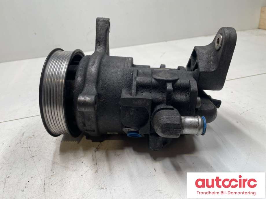 Servo pumpe mekanisk til BMW X5 2007-2013 (E70) (E70) (32 41 6 793 287|)