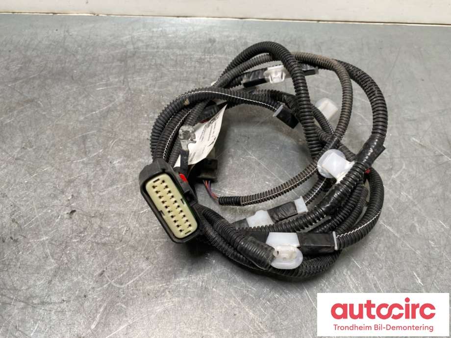 Ledningsnett til Tesla Model Y, 2021-2024 (Type I)  (1489045-04-D)