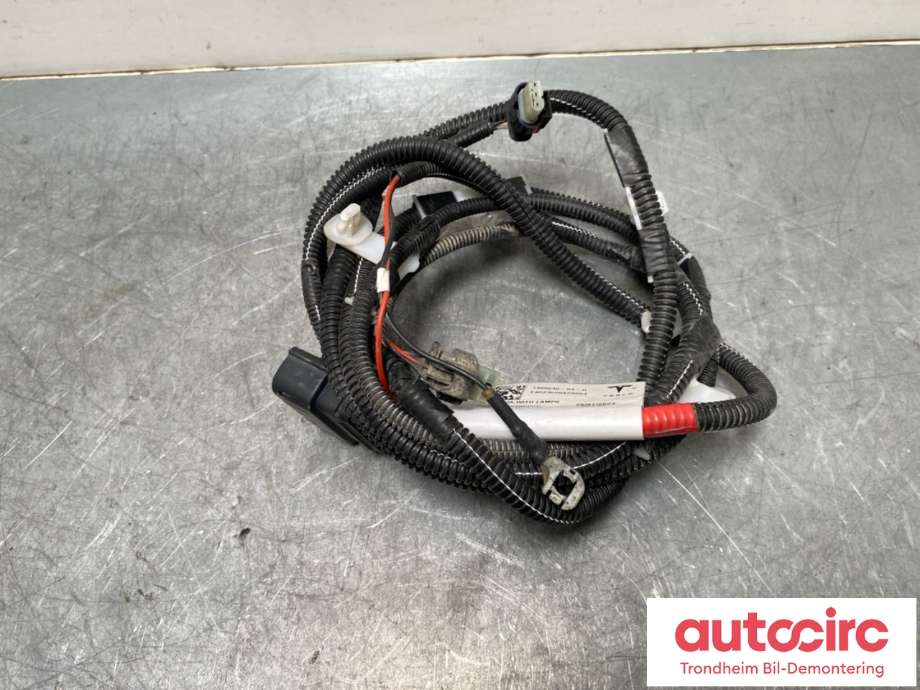 Ledningsnett til Tesla Model Y 2021-2024 (Type I)  (1489045-04-D|)