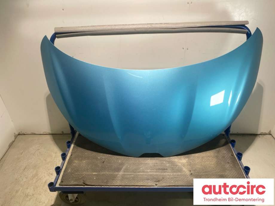 Panser til Renault Zoe, 2019-->> (Fase 2)  (651001566R)