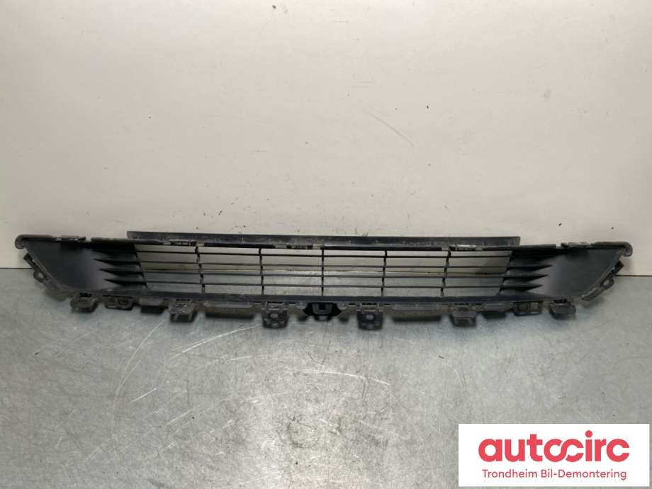 Grill midt til Tesla Model Y, 2021-2024 (Type I)  (1493759-00-A)