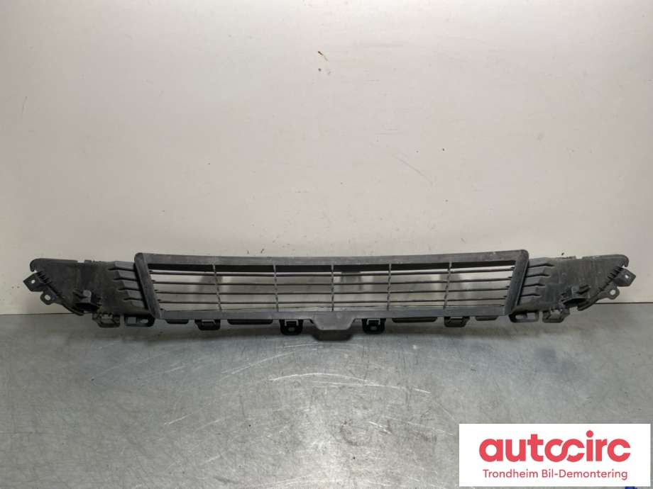 Grill midt til Tesla Model Y 2021-2024 (Type I) (1493759-00-A|)