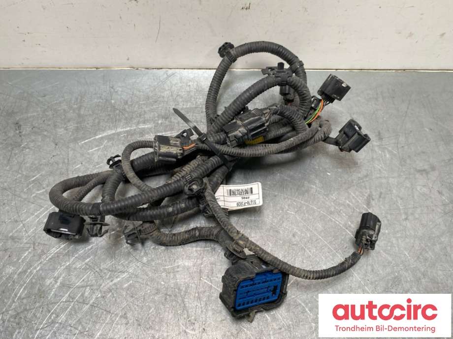 Ledningsnett til Kia Sportage 2016-2021 (Type IV)  (91870F1020|)
