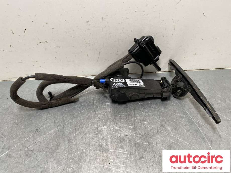 Dørstopper til Ford Kuga, 2019-->> (Type III)  (LV4B-S201A56-AA)