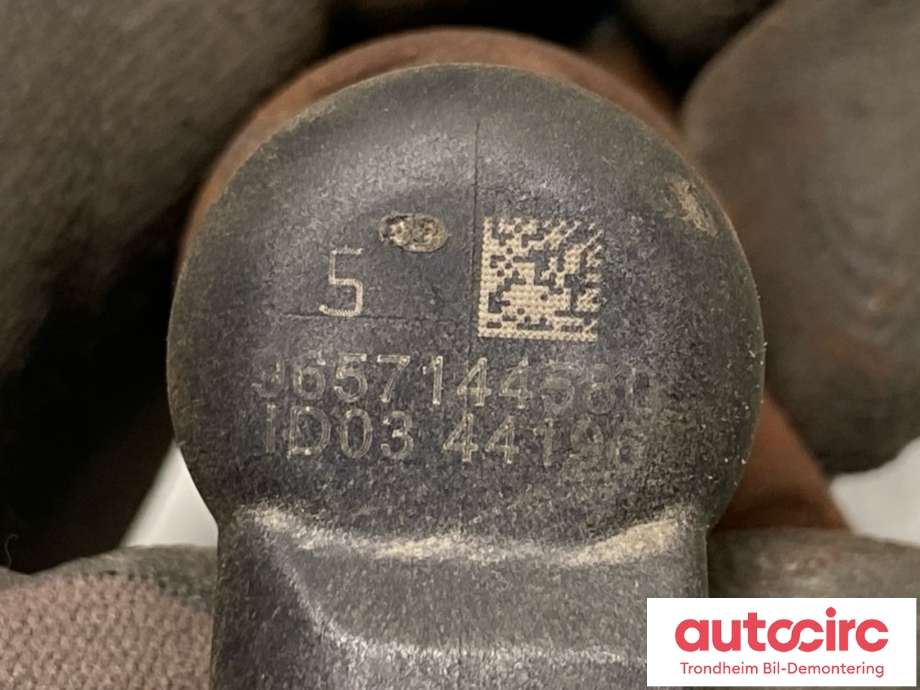 Dyse innsprøyting diesel til Volvo V70 2007-2013 (Type III, Fase 1) (36000318|36000319|)