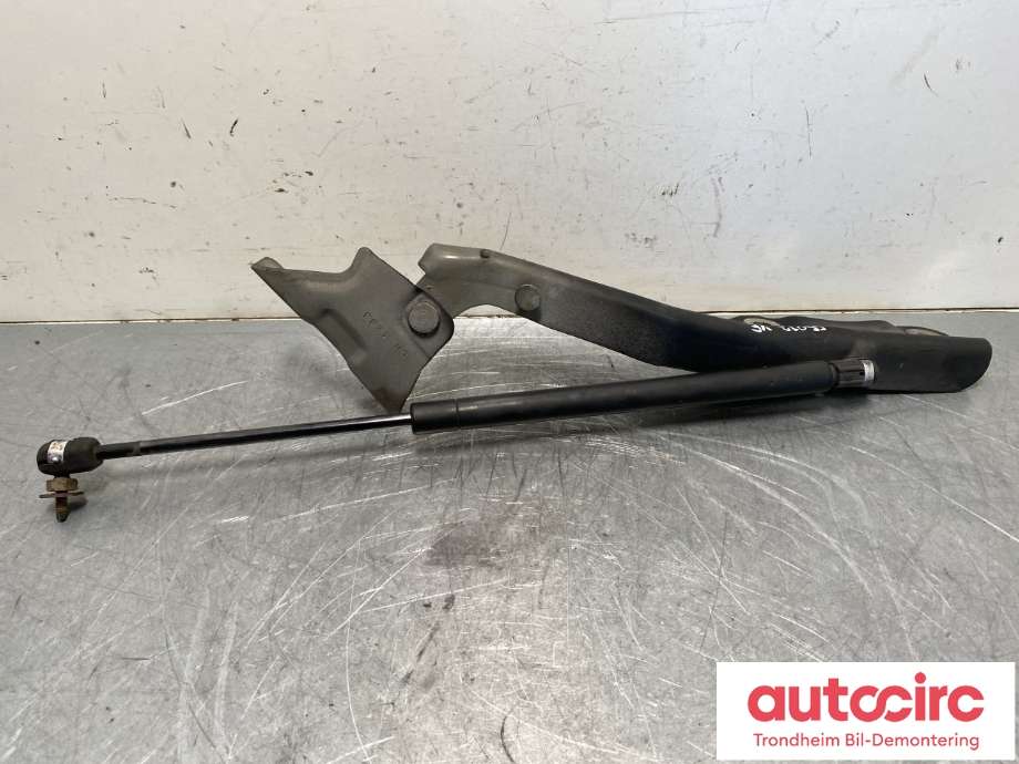 Panserhengsler til Ford F-250 1997-2003 (VF|F81Z16797AA|)