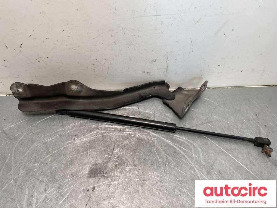 Panserhengsler til Ford F-250 1997-2003 (VF|F81Z16797AA|)