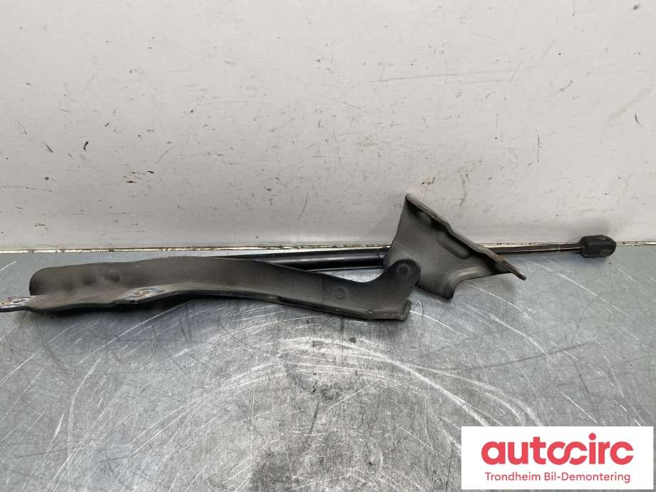 Panserhengsler til Ford F-250 1997-2003 (HF|F81Z16796AA|)
