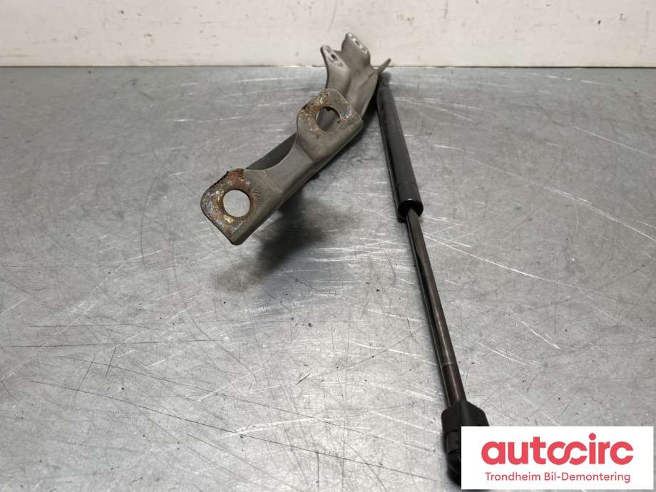 Panserhengsler til Ford F-250 1997-2003 (HF|F81Z16796AA|)