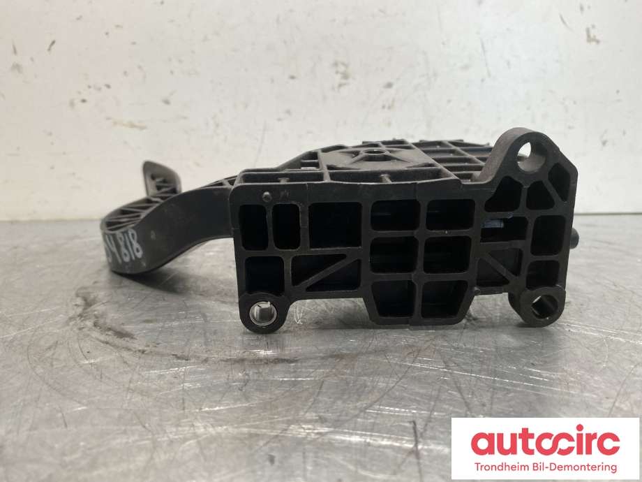 Pedal gass til Tesla Model 3 2018-2023 (Fase 1)  (1044695-00-A|)