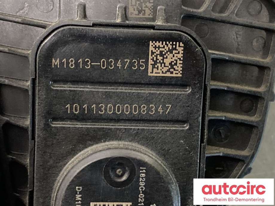 Pedal gass til Tesla Model 3 2018-2023 (Fase 1)  (1044695-00-A|)