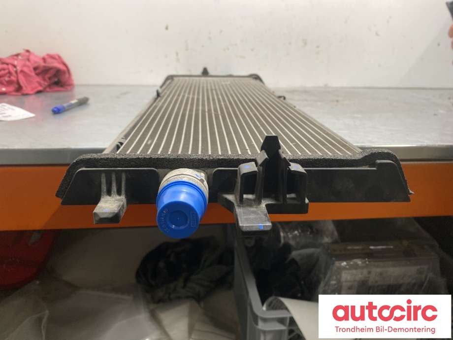 Radiator (automat gir) til Tesla Model 3 2018-2023 (Fase 1) (1077082-00-C|1077082-00-B|)