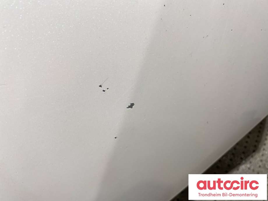Panser til Nissan Leaf 2011-2017 (Type I) (F51003NLMA|)