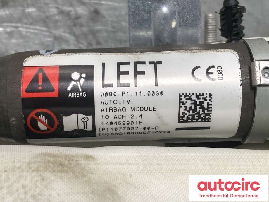 Airbag gardin venstre til Tesla Model 3 2018-2023 (Fase 1)  (1077827-00-D|1077827-00-C|1077827-00-E| 1077827-00-F)