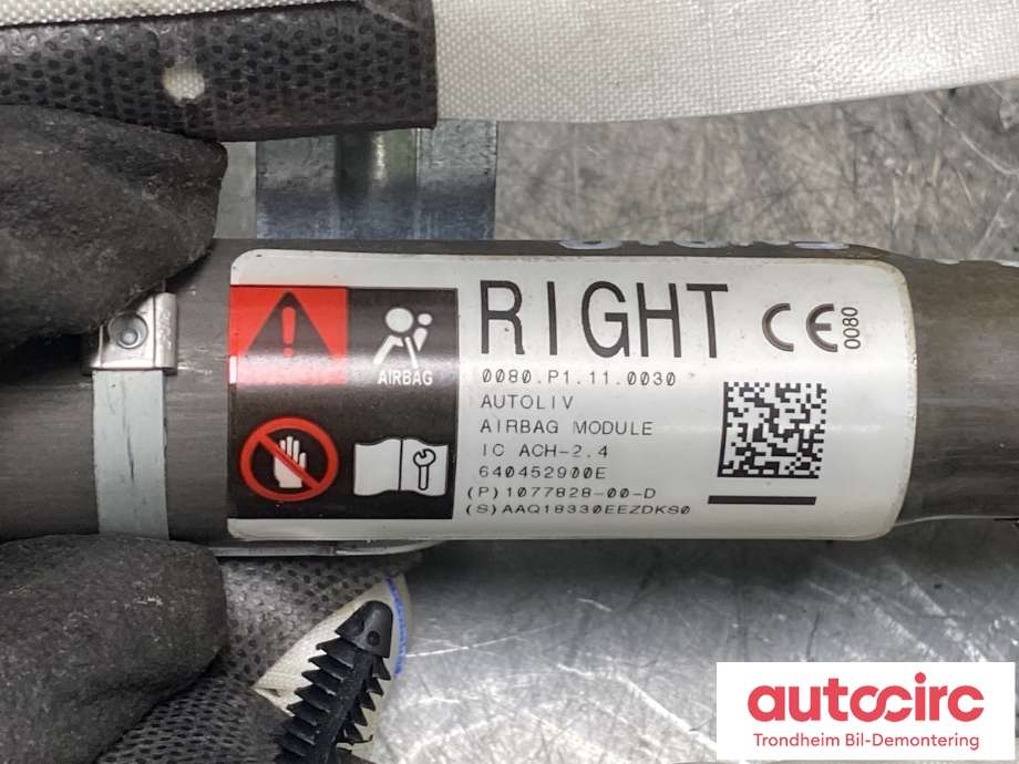 Airbag gardin høyre til Tesla Model 3 2018-2023 (Fase 1) (1077828-00-D|1077828-00-C|1077828-00-E| 1077828-00-F)