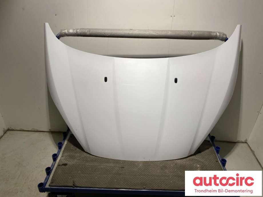Panser til Ford Fiesta 2013-2017 (Type VI, Fase 2) (2002312|PC1BB-A16610-AB|)