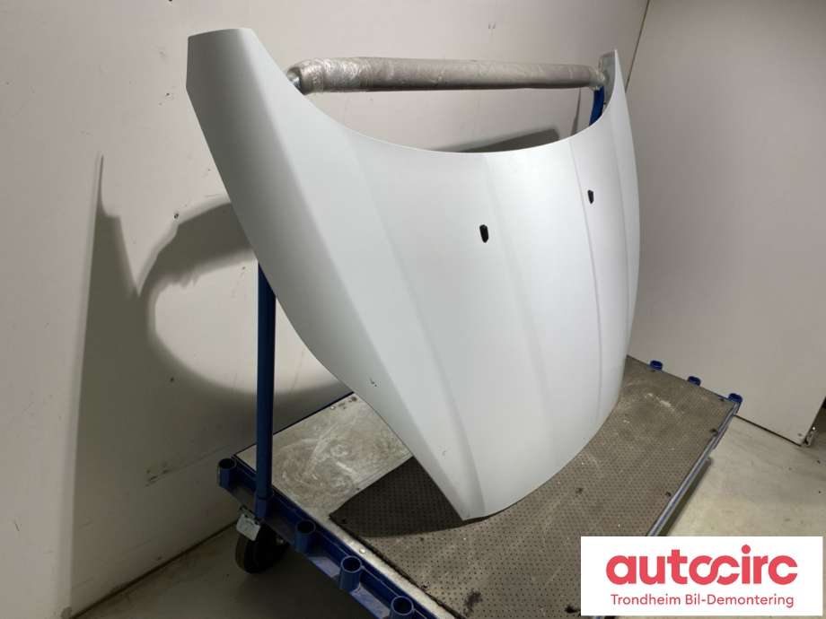 Panser til Ford Fiesta 2013-2017 (Type VI, Fase 2) (2002312|PC1BB-A16610-AB|)