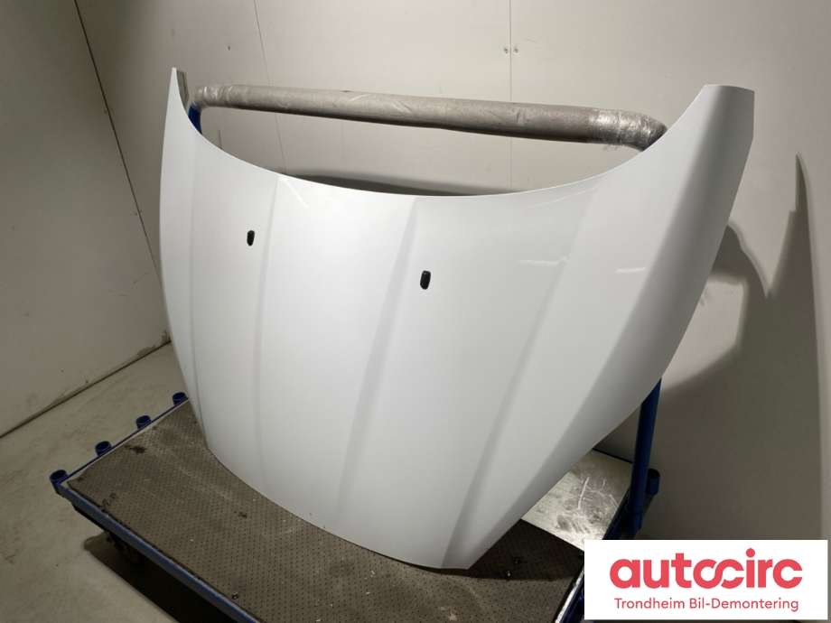 Panser til Ford Fiesta 2013-2017 (Type VI, Fase 2) (2002312|PC1BB-A16610-AB|)