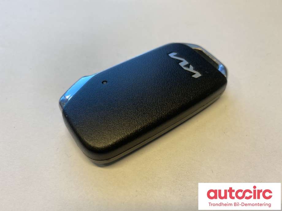 Nøkkel til Kia e-Soul 2019-->> (Type III) (95430-K0010|)