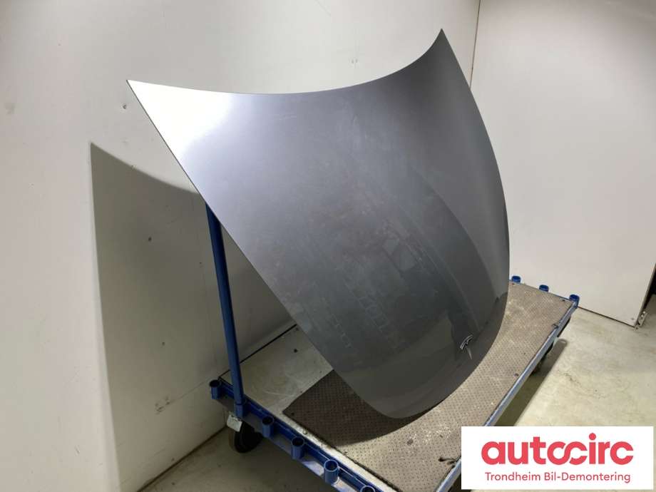 Panser til Tesla Model Y 2021-2024 (Type I) (1493370-E0-A|1493370-EC-A|1493370-S0-A)