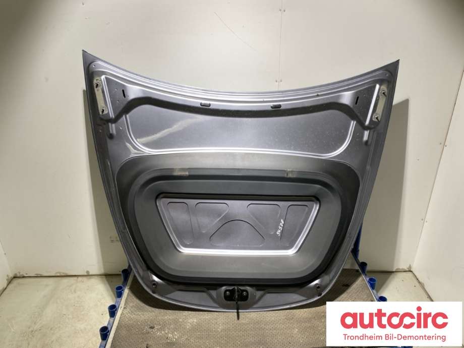 Panser til Tesla Model Y 2021-2024 (Type I) (1493370-E0-A|1493370-EC-A|1493370-S0-A)