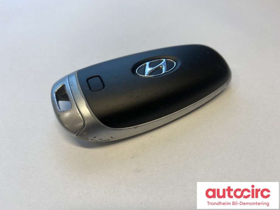 Nøkkel til Hyundai Ioniq 5 2021-->>  (95440-GI080|95440GI080|)