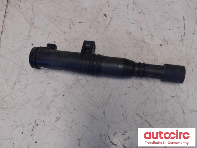 Coil elektronisk til Renault Laguna 1999-2001 (Type I, Fase 2) (DENSO|7700875000|0297008291|224333529R)