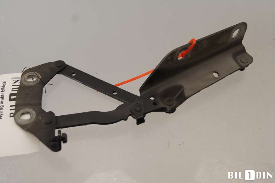 Panserhengsler til Land Rover Range Rover, Evoque 2011-2019 (Type I) (LAND-ROVER|LR001565||6H5216801AC)