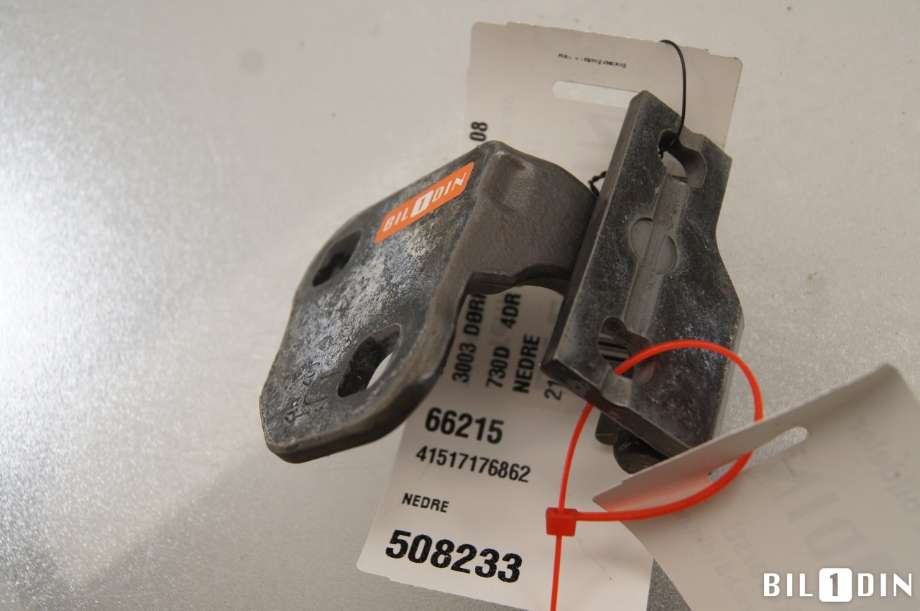 Hengsler til BMW 7-Serie 2000-2008 (E65/E66/E67/E88) (E65/E66/E67/E88) (BMW|41517176862|)