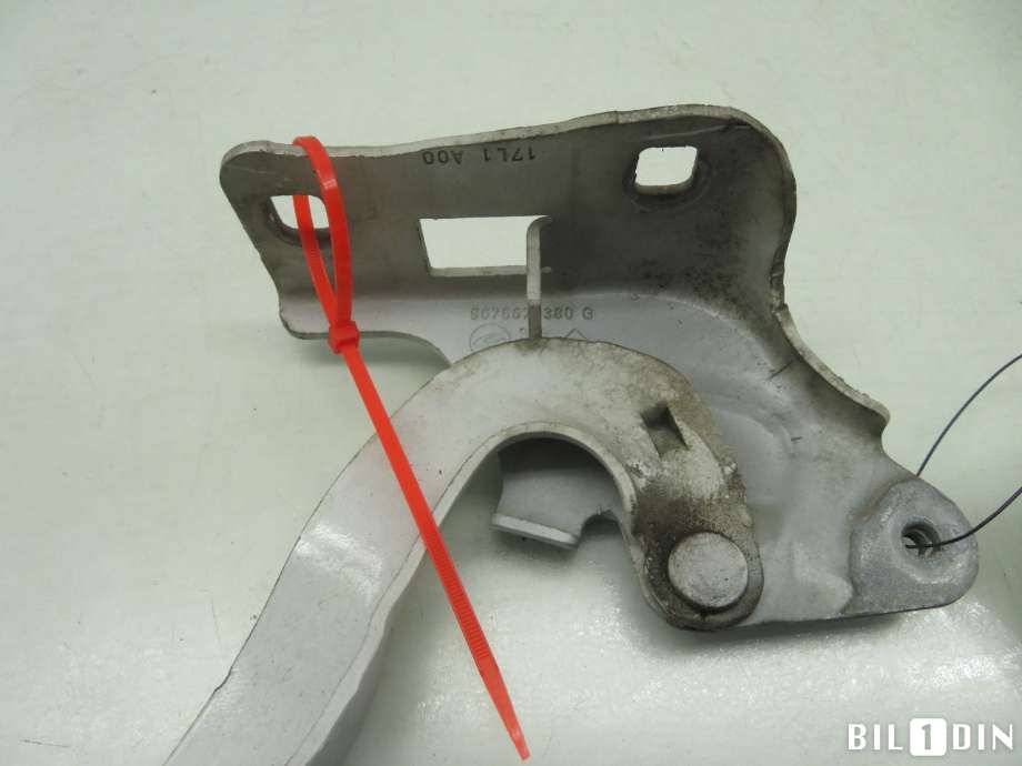 Panserhengsler til Peugeot 508 2011-2014 (Type I, Fase 1)  (PEUGEOT|9676670380|)