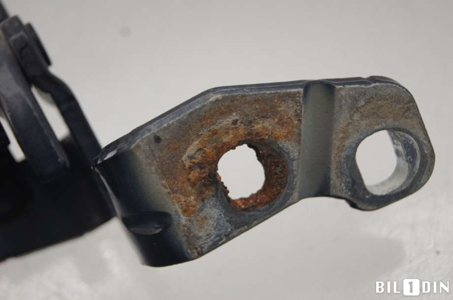 Hengsler til BMW X5 2013-2018 (F15) (F15) (BMW|41007378127|)