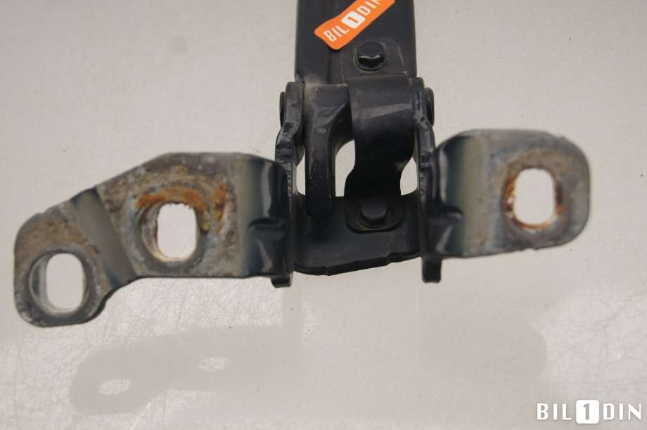 Hengsler til BMW X5 2013-2018 (F15) (F15) (BMW|41007378128|)