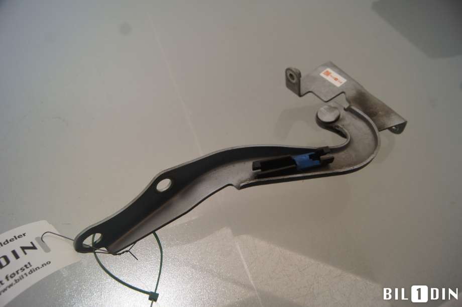 Panserhengsler til Toyota Auris 2010-2012 (Type I, Fase 2) (TOYOTA|5341002100|)