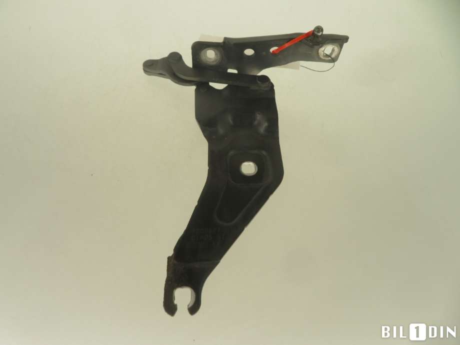 Panserhengsler til BMW X5 2007-2013 (E70) (E70) (BMW|41007198617|)