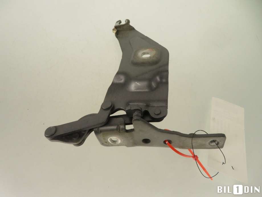 Panserhengsler til BMW X5 2007-2013 (E70) (E70) (BMW|41007198617|)
