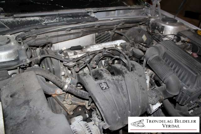 Peugeot 406 1996-1999 (Fase 1) , Motorkode: LFY, Girkassekode: NA