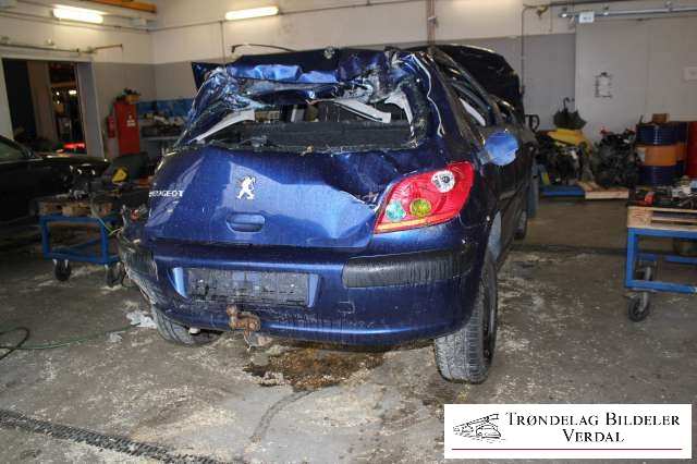 Peugeot 307 2001-2004 (Fase 1) , Motorkode: NFU, Girkassekode: NA