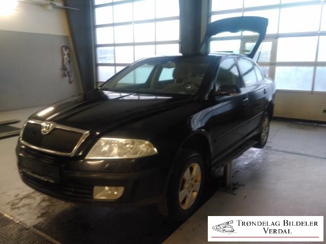 Škoda Octavia 2005-2008 (Type II, Fase 1) , Motorkode: BGU, Girkassekode: NA