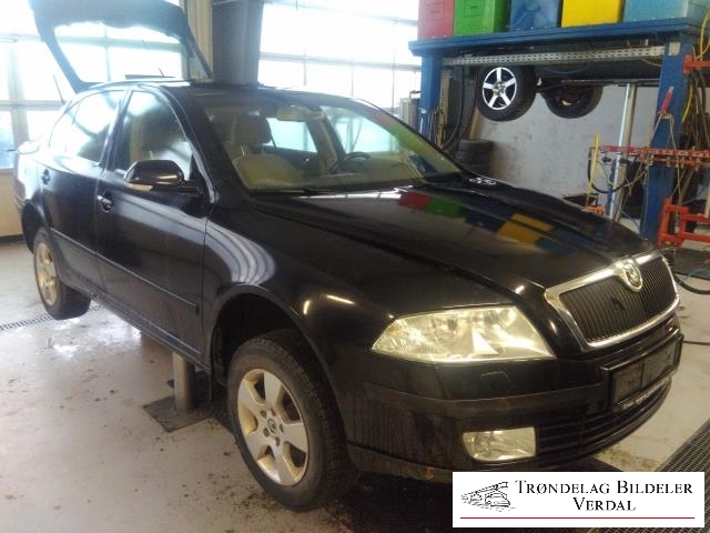 Škoda Octavia 2005-2008 (Type II, Fase 1) , Motorkode: BGU, Girkassekode: NA