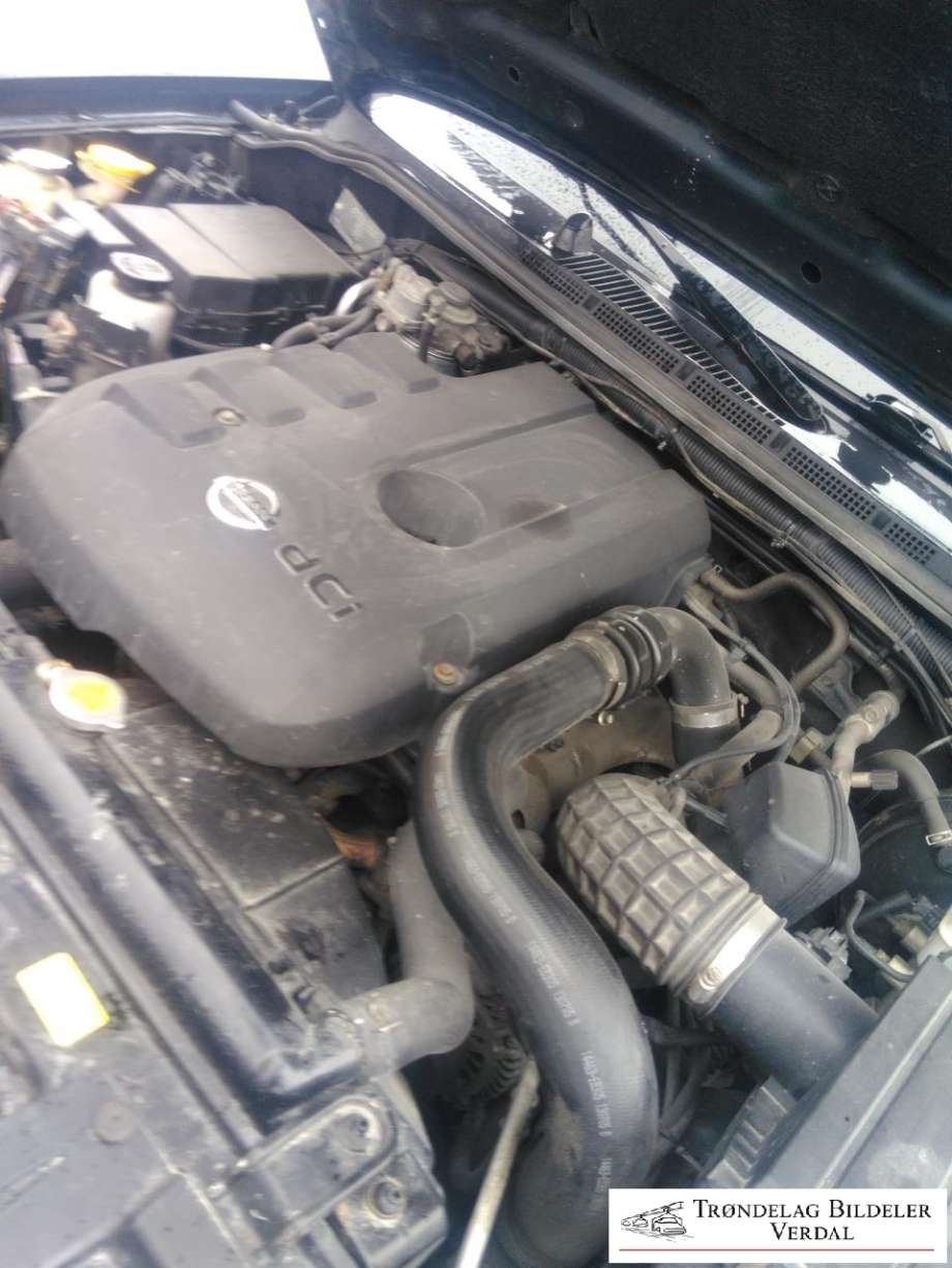 Nissan Pathfinder 2005-2010 (Fase 1) (R51) (R51), Motorkode: , Girkassekode: 