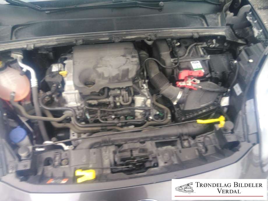 Ford Puma 2019-->> , Motorkode: B7JA, Girkassekode: A