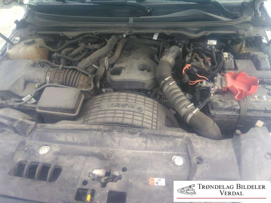 Ford Ranger / Ranger Raptor 2015-2022 , Motorkode: YN2X, Girkassekode: A