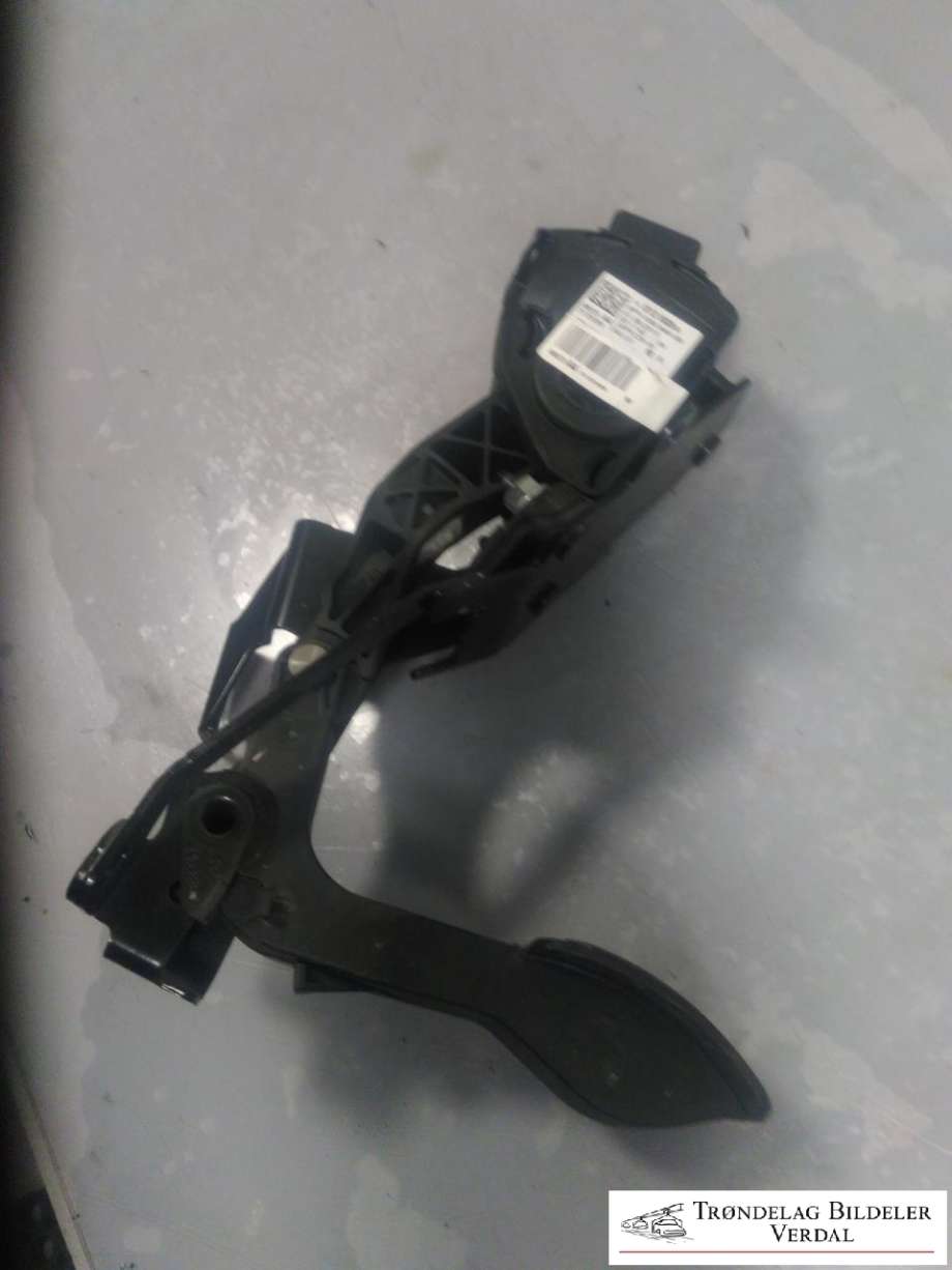 Pedal gass til Peugeot Expert 2007-2016 (Type II) (1401280880|)