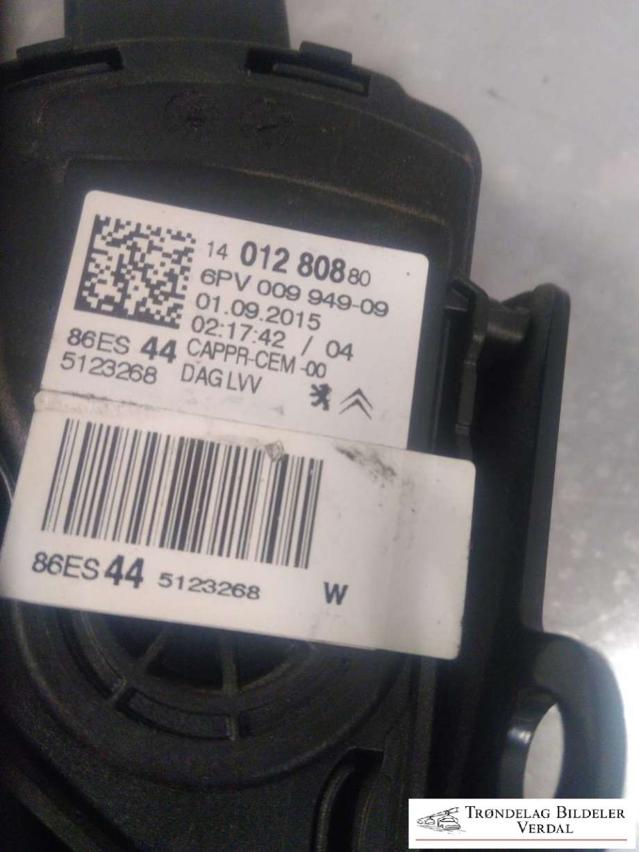 Pedal gass til Peugeot Expert 2007-2016 (Type II) (1401280880|)