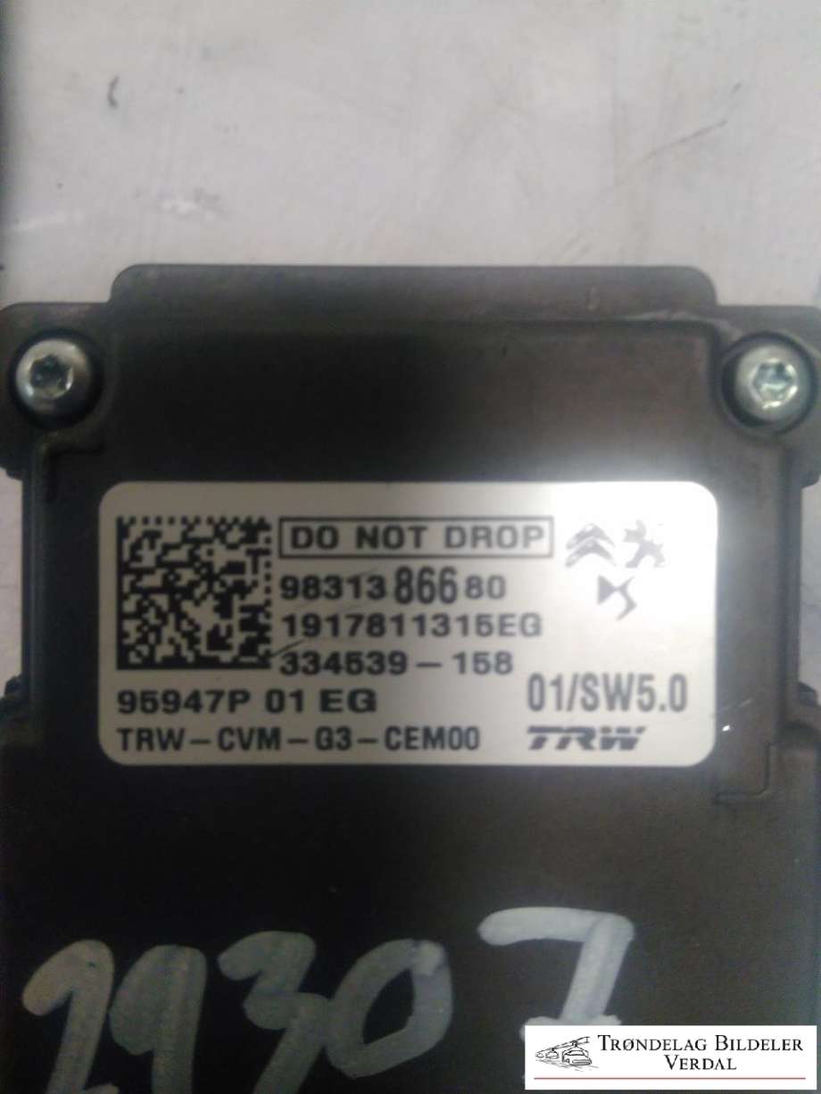 Parkeringskamera foran til Peugeot 508 2018-->> (Type II)  (TRW|9831386680|)