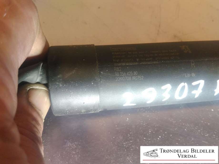 Baklukeåpner motor til Peugeot 508 2018-->> (Type II)  (BROSE|9835642580|)