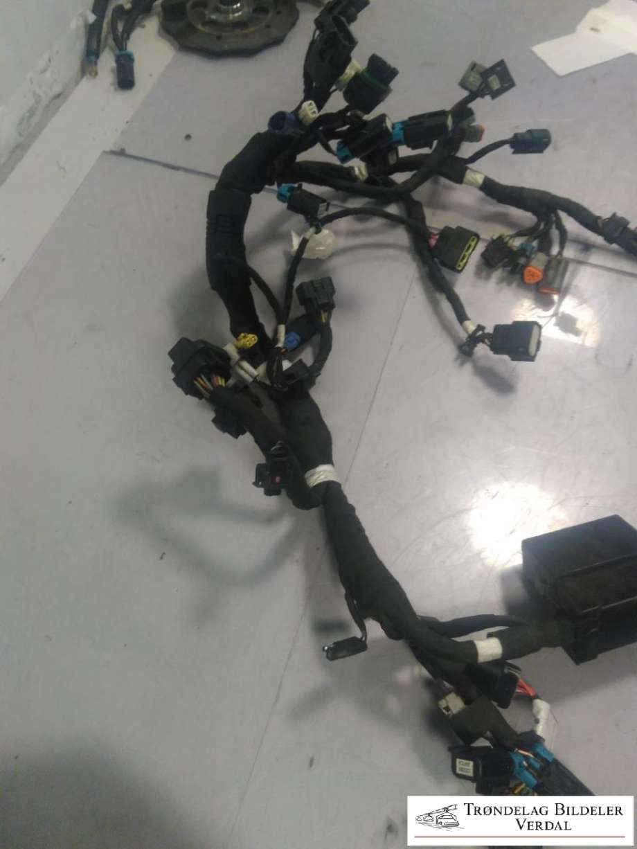 Ledningsnett til Snøscooter Polaris øvrige 0-->> (|P/N:)