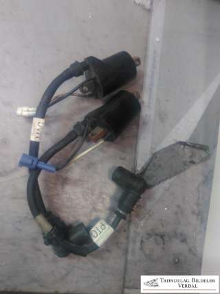 Coil elektronisk til Snøscooter Polaris øvrige,   (|4017655|4017656)