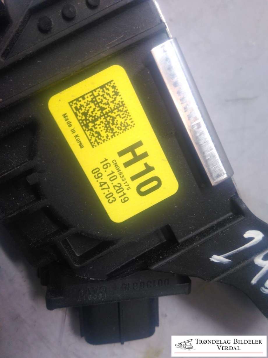 Pedal gass til Kia e-Soul 2019-->> (Type III)  (H10|)