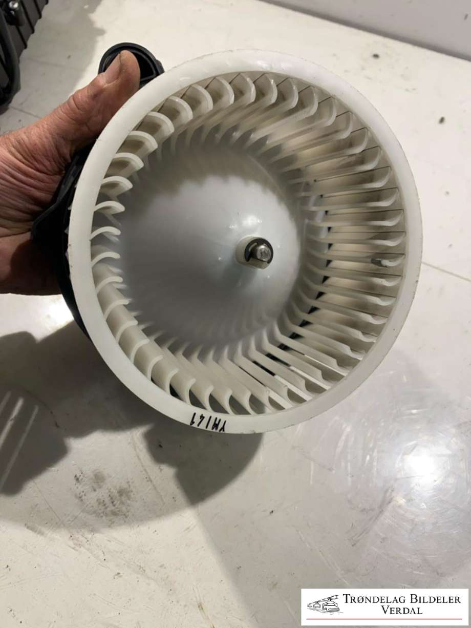 Varmeapparat motor til Hyundai Ioniq Electric 2016-2019 (Fase 1) (C7172171009|)